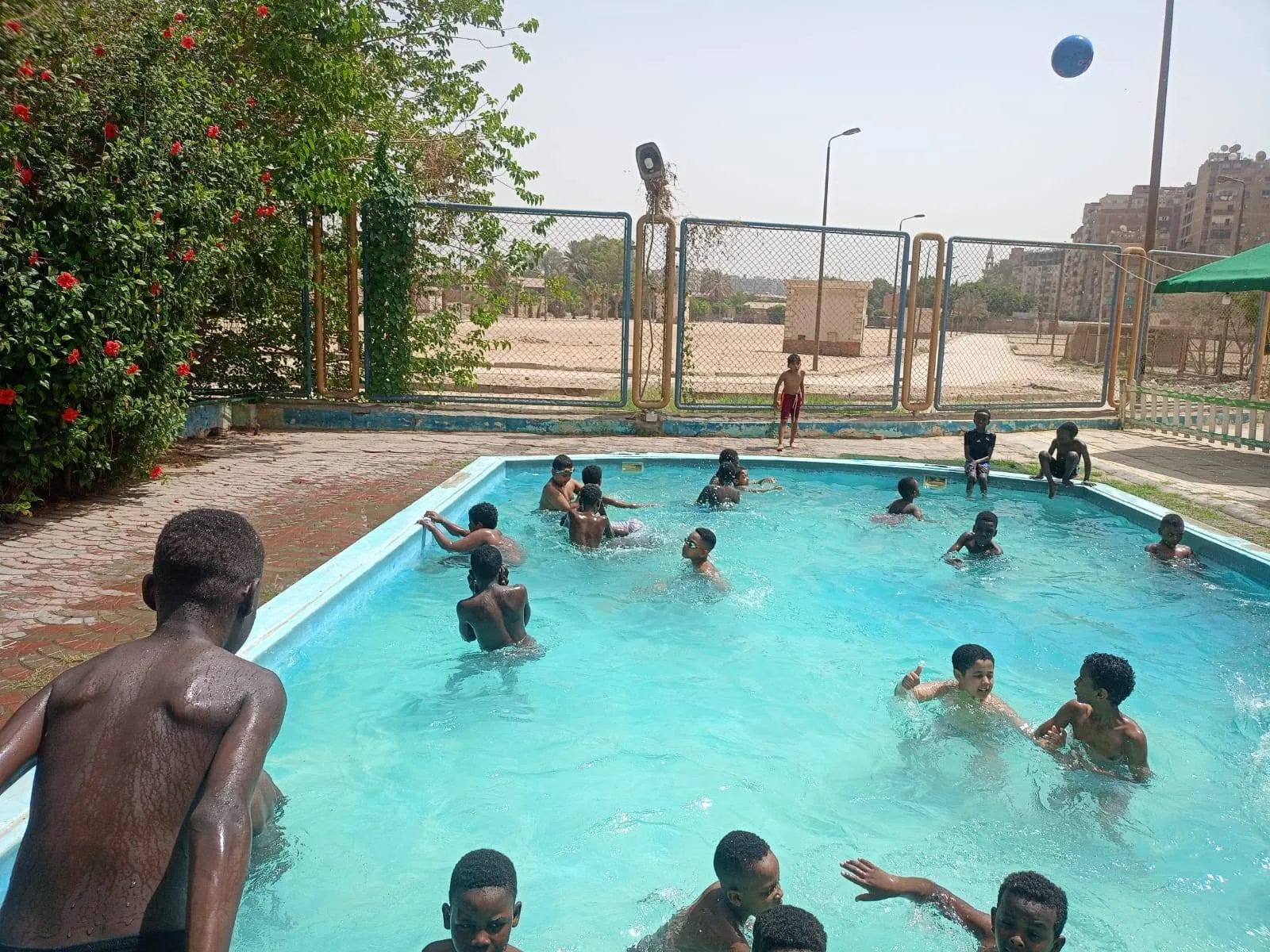 Swimming & summer activities